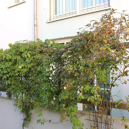 Appartementanlage Strandjuwel 234 *